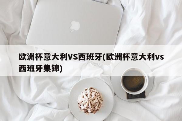 欧洲杯意大利VS西班牙(欧洲杯意大利vs西班牙集锦)