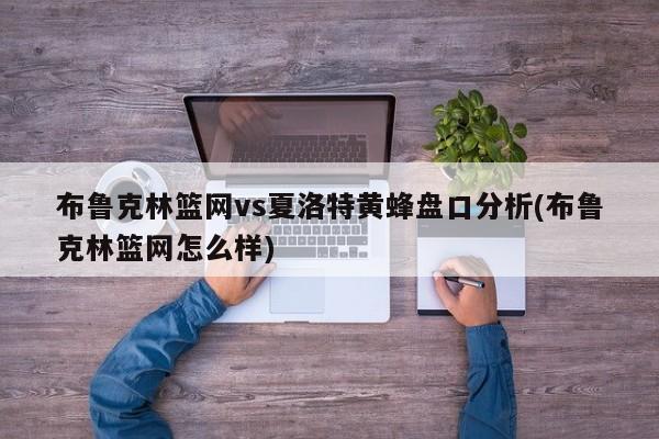 布鲁克林篮网vs夏洛特黄蜂盘口分析(布鲁克林篮网怎么样)