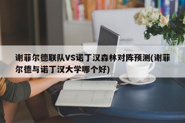 谢菲尔德联队VS诺丁汉森林对阵预测(谢菲尔德与诺丁汉大学哪个好)
